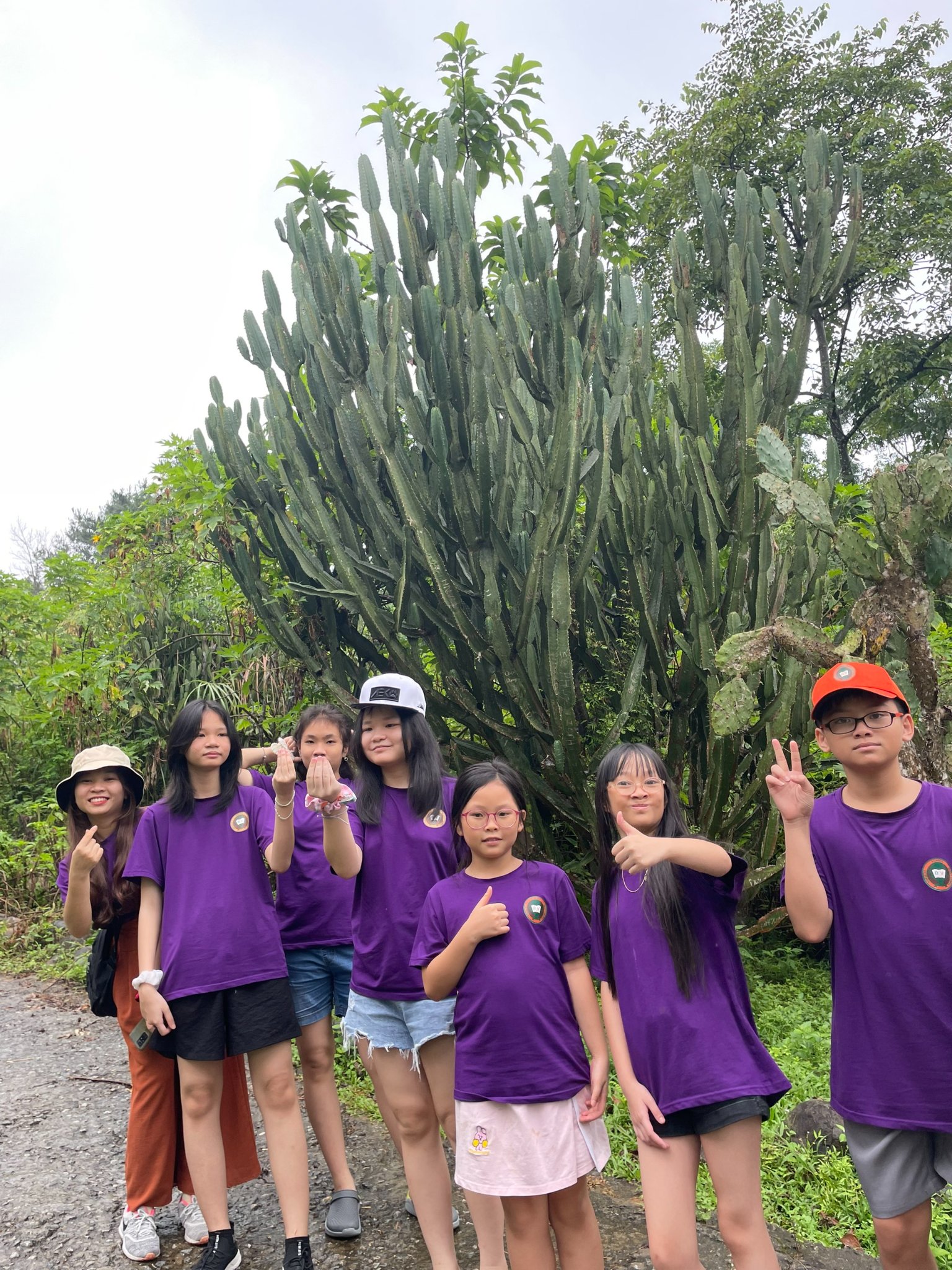 HÀNH TRÌNH HAI NGÀY HÒA MÌNH VÀO THIÊN NHIÊN CỦA HỌC SINH TRẠI HÈ QUỐC TẾ VIC SCHOOL TẠI RỪNG QUỐC GIA BA VÌ VÀ FEFE GARDEN